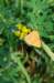 dsc_0377_small.jpg