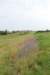 dsc_0380_small.jpg
