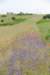 dsc_0381_small.jpg