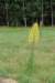 dsc_0382_small.jpg