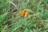 dsc_0383_small.jpg