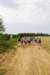 dsc_0386_small.jpg