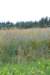 dsc_0389_small.jpg