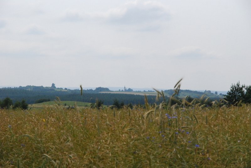 dsc_0390.jpg