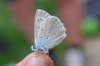 dsc_0393_small.jpg