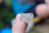 dsc_0394_small.jpg