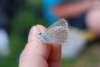 dsc_0397_small.jpg