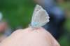 dsc_0398_small.jpg
