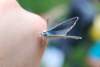 dsc_0399_small.jpg