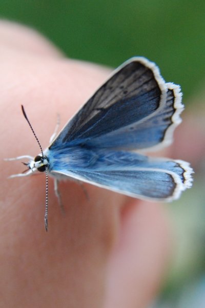 dsc_0400.jpg