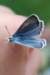 dsc_0400_small.jpg
