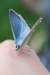 dsc_0401_small.jpg