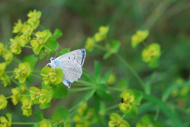 dsc_0402.jpg