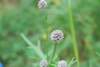 dsc_0403_small.jpg