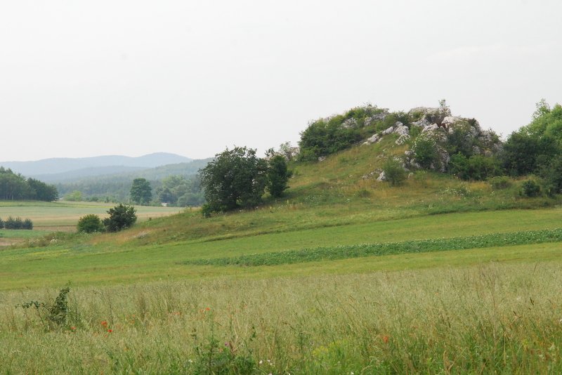 dsc_0413.jpg