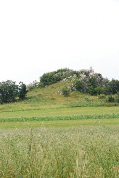 dsc_0415.jpg