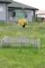 dsc_0419_small.jpg