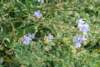 dsc_0423_small.jpg