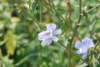 dsc_0424_small.jpg