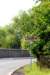 dsc_0481_small.jpg