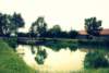 dsc_0485_small.jpg