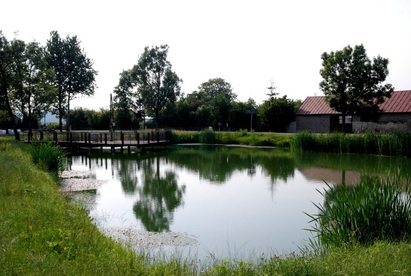 dsc_0486.jpg