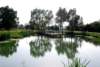 dsc_0487_small.jpg
