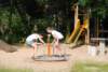 dsc_0490_small.jpg