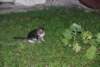 dsc_0543_small.jpg