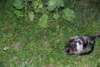 dsc_0544_small.jpg