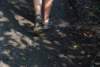 dsc_0594_small.jpg