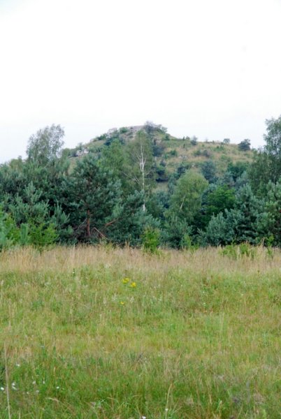 dsc_0623.jpg