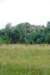 dsc_0623_small.jpg