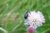 dsc_0628_small.jpg