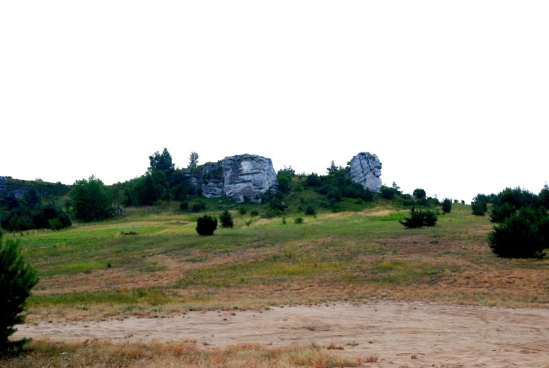 dsc_0642.jpg