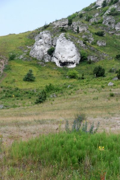 dsc_0646.jpg
