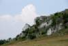 dsc_0650_small.jpg