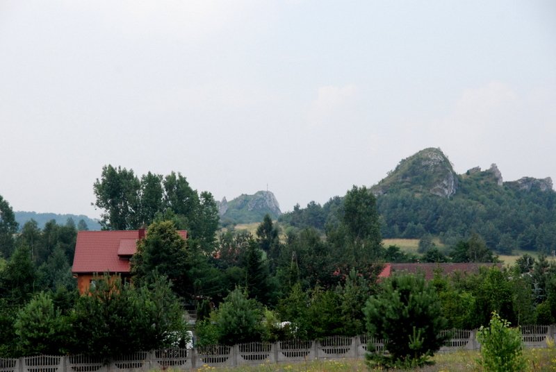 dsc_0651.jpg