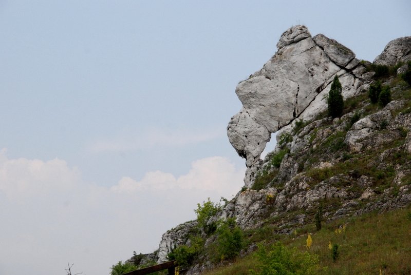dsc_0653.jpg