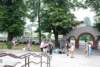 dsc_0805_small.jpg