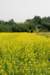 dsc_0818_small.jpg