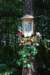 dsc_0827_small.jpg