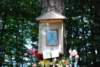 dsc_0828_small.jpg