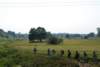 dsc_0869_small.jpg