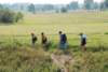 dsc_0871_small.jpg