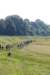 dsc_0879_small.jpg
