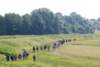 dsc_0880_small.jpg