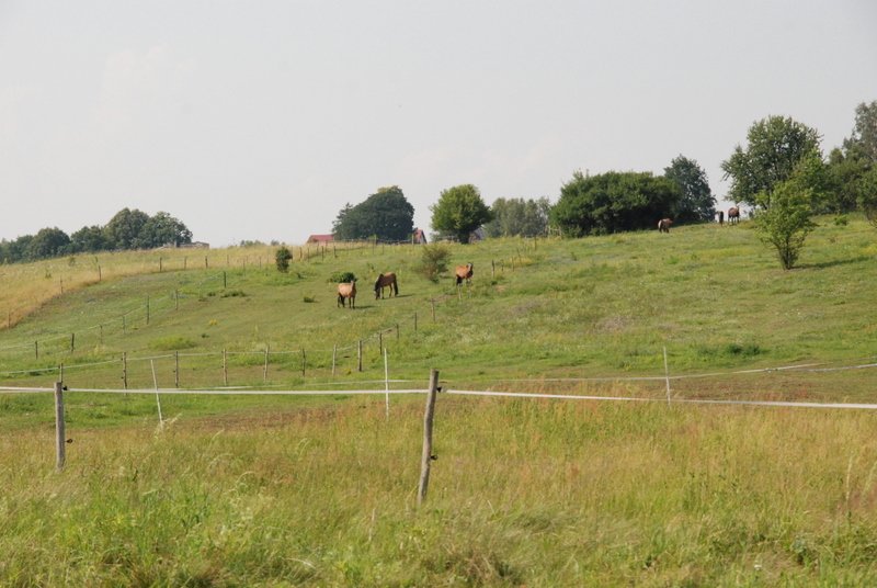 dsc_0881.jpg