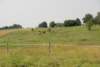 dsc_0881_small.jpg