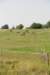 dsc_0883_small.jpg